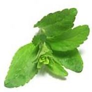 What is Stevia called in Gujarati with how to pronounce and transliteration in english?