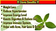 Stevia Meaning In Gujarati - ગુજરાતી અર્થ