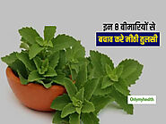 What is the meaning of Stevia in Marathi?