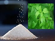 Leaves Of Stevia Plant Are Hundreds Of Times Sweeter Than Sugar ... Better To Use It Instead Of Sugar | Sugar Alterna...