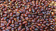 dates fruit origin. The Benefits of dates fruit. dates in spanish fruit?