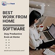 Stop Wasting Time And Start BEST WORK FROM HOME SOFTWARE