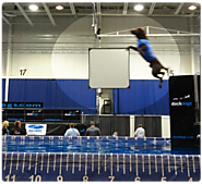 Agility & Canine Sports - FitPAWS® Canine Conditioning Equipment