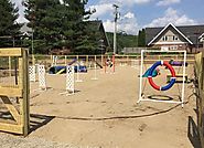 Kim Seiter - Competition Dog Agility