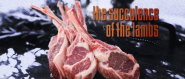 SA Food Industry Awards | Welcome