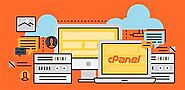 Accessing the Raw Access Logs feature in cPanel