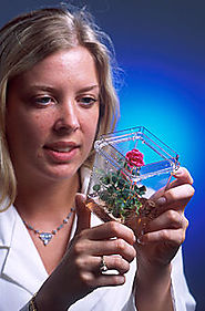 Biotechnology - Wikipedia, the free encyclopedia