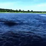 Animated GIF Generator - Imgflip