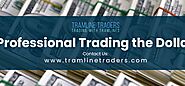 Get Professional Trading the Dollar Services | Tramline Traders