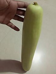 लौकी का कोफ्ता ऐसा की खाने वाला हो जायेगा ख़ुश