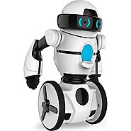 Blog blog : Best Remote Controlled Robot Toys Reviews