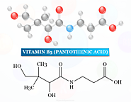 Vitamin B5 - Pantothenic Acid