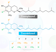 Vitamin E - Benefits, Uses, Deficiency, Supplement