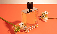 Best Arabic Perfumes In UAE