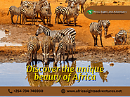 Discover the Unique Beauty of Africa