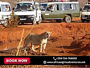 Embark on an Unforgettable Kenya Wildlife Adventure Selecting the Best Kenya Wildlife Adventure Camping Safari Package