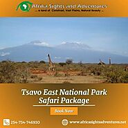 Embark on an Unforgettable Journey with the Ultimate Tsavo East National Park Safari Package