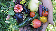 Farm-to-Table-How Locally Grown Food Helps to Create a Healthy Lifestyle
