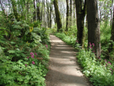 Portland Parks & Recreation :: Forest Park