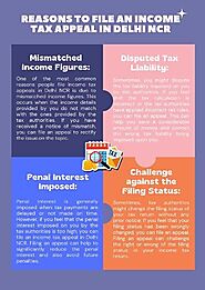 Reasons to file an income tax appeal in Delhi NCR