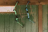 Pros & Cons of Different Deer Hunting Types of Compound Bows