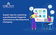 Expert Tips for selecting a professional Magento eCommerce Development Company