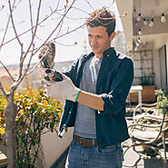 Shrub Prunning | Idogardening4u