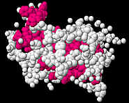 Buy Human Growth Hormones - HGH Pills For Sale - Review