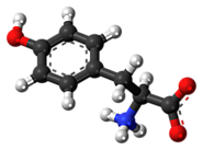L-Tyrosine and Raspberry Ketone Review