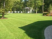 Lawn Fertilizer - Bergen County Wayne, NJ