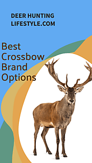 Website at https://deerhuntinglifestyle.com/best-crossbow-brand/