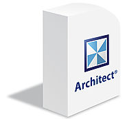 BizzDesign architect