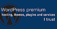 WordPress Premium Themes, Plugins and Services | BobWP