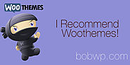 All That's WOO! A List of WooThemes