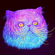Psychedelic Pictures of Galactic Cats - Pet Reporters