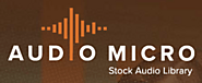 AudioMicro