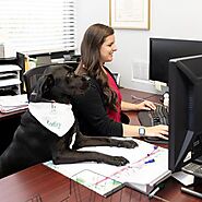 Best Accounting Firms in Charleston, SC