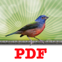 Instant PDF Printer - Print to PDF instantly with built in PDF converter.