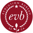 Evolution Bureau | We are your brand's best kept secret. : Home