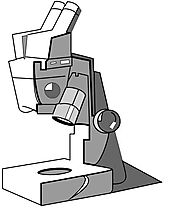 How to Draw a Microscope for Beginners in 15 Steps