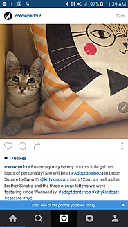 Instagram doesn't want your #latergrams, suggests you share pictures taken today