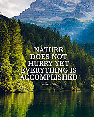 Nature Does Not Hurry Yet Everything is Accomplished - Meaning of Lao Tzu's Quote