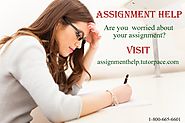 Take On The Assignments Leaving Everything On Help Sites