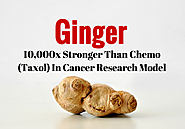 Ginger: 10,000x Stronger Than Chemo (Taxol) In Cancer Research Model