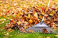 Seasonal Cleaning Tips for Commercial Cleaning: Fall Edition