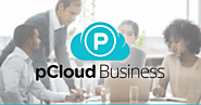 pCloud Business - Secure Cloud Storage Solution for Any Company