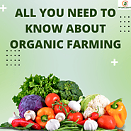Organic Farming Recap: Sustainable Agriculture with Sachin Palkar