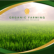 Organic Farming Certification in India: Green Agri-Future