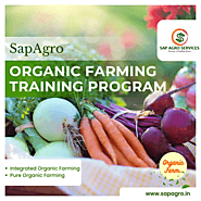 Organic Farming Training in India - A Comprehensive Guide