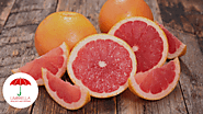 Grapefruit